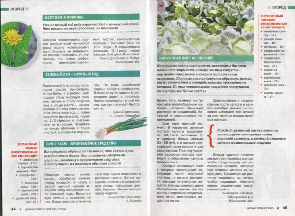 дачный спец примеры страниц 2 dachnyj spec primery stranic 2
