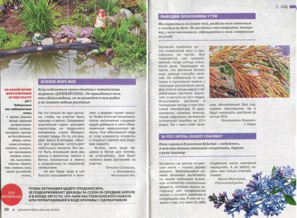 дачный спец примеры страниц dachnyj spec primery stranic